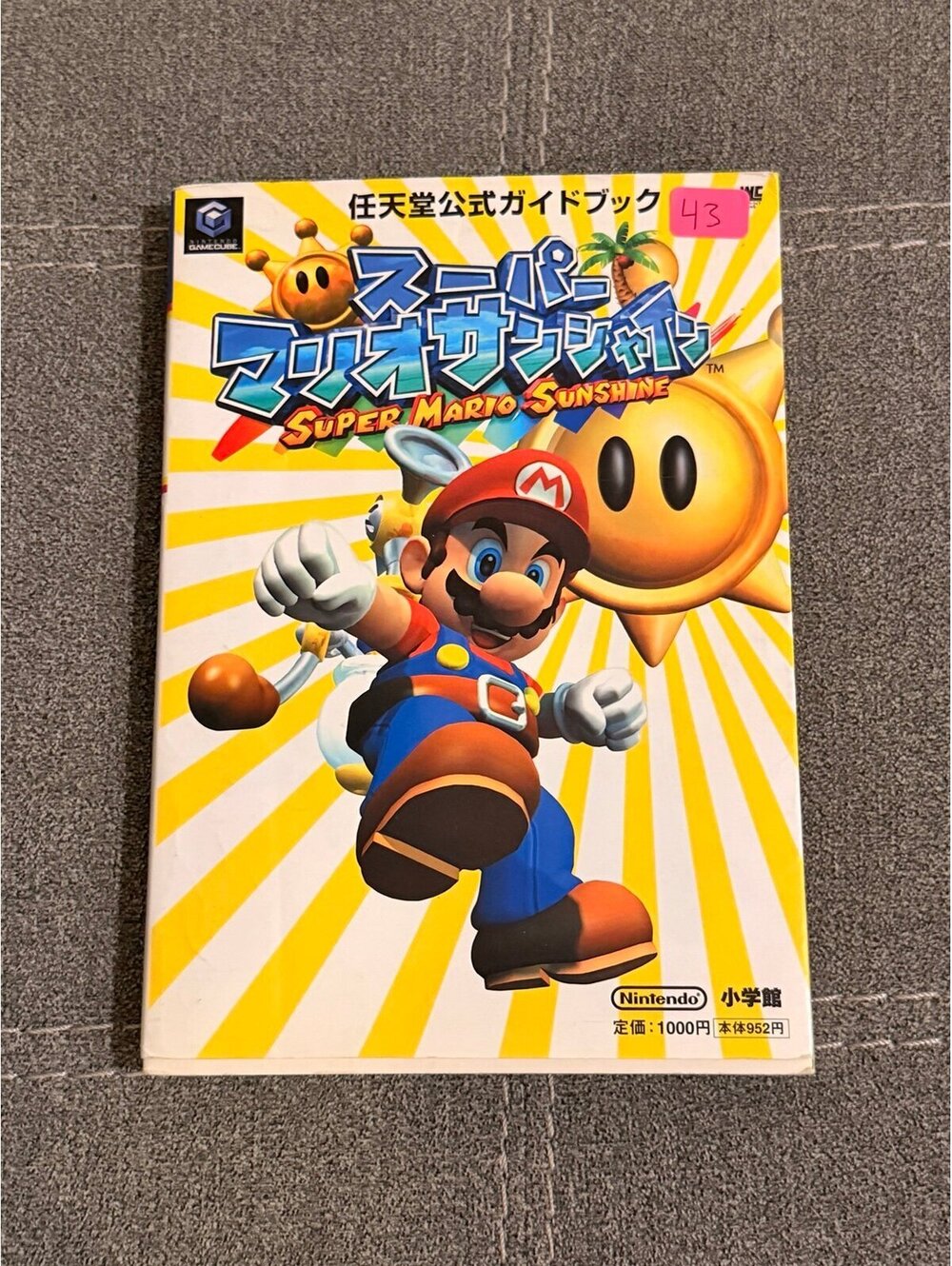 Japanese Gameplay manual for Super Mario Sunshine